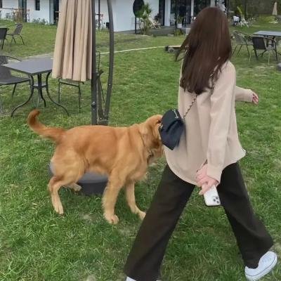 圣乔治